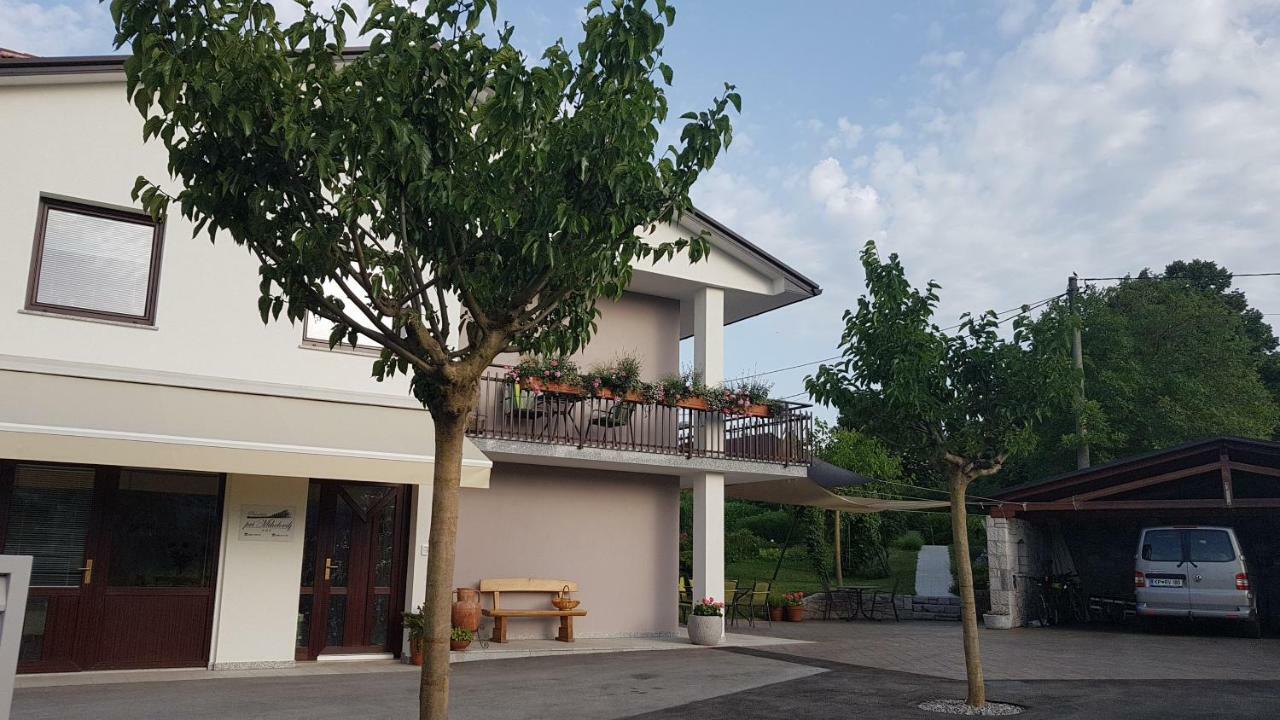 Guesthouse Pri Mihelovih Sezana Bagian luar foto